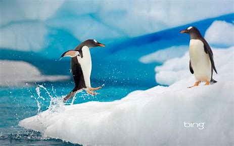 Linux日常使用技巧
