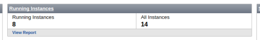 Running_Instances_Widget